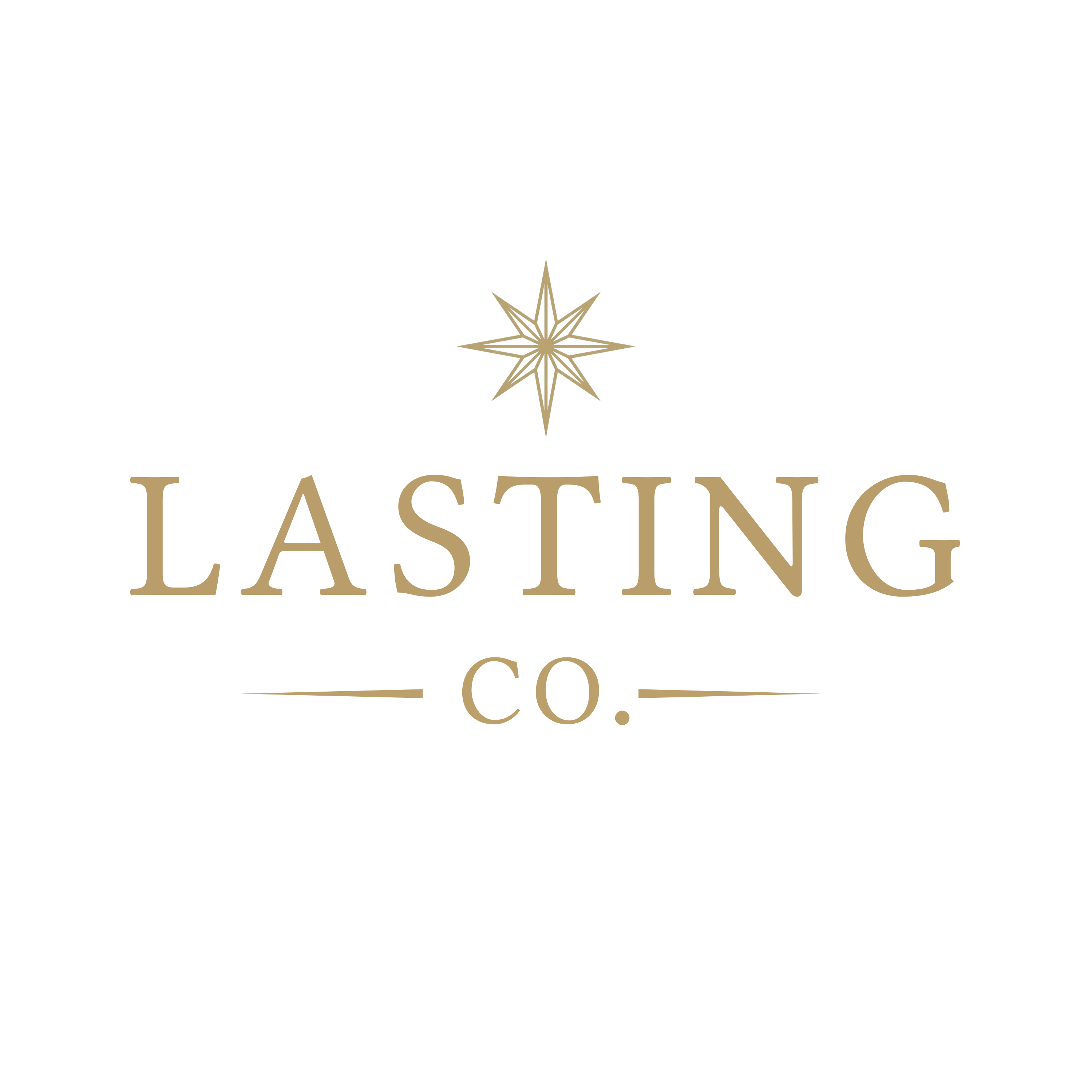 The Lasting Company